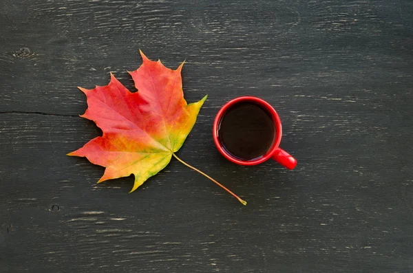 Sonbahar akçaağaç yaprağı ve çay