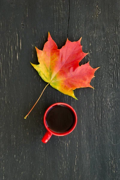 Sonbahar akçaağaç yaprağı ve çay