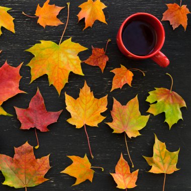 Sonbahar akçaağaç yaprakları ve çay