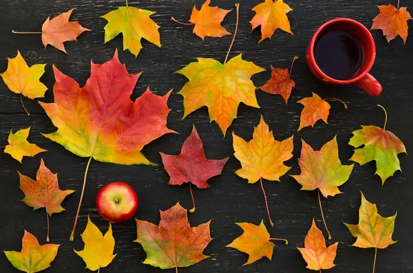 Herbst-Ahornblätter, Apfel, Tasse Tee — Stockfoto