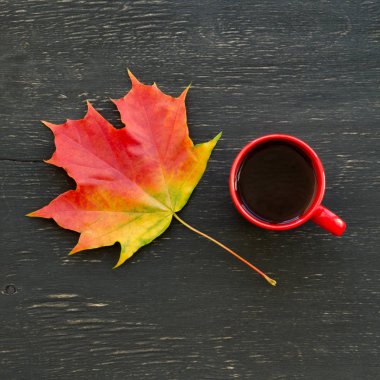 Sonbahar akçaağaç yaprağı ve çay