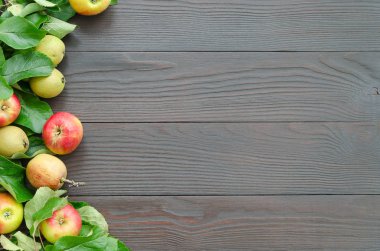 Elma ve armut koyu ahşap arka plan üzerinde çerçeve