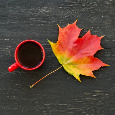 Sonbahar akçaağaç yaprağı ve çay