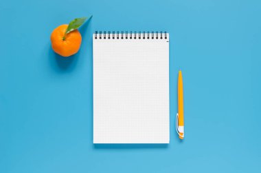 Defter, kalem ve mandalina