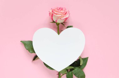 Pembe bir arka plan üzerinde kalpli Pembe çiçek taze gül çiçek