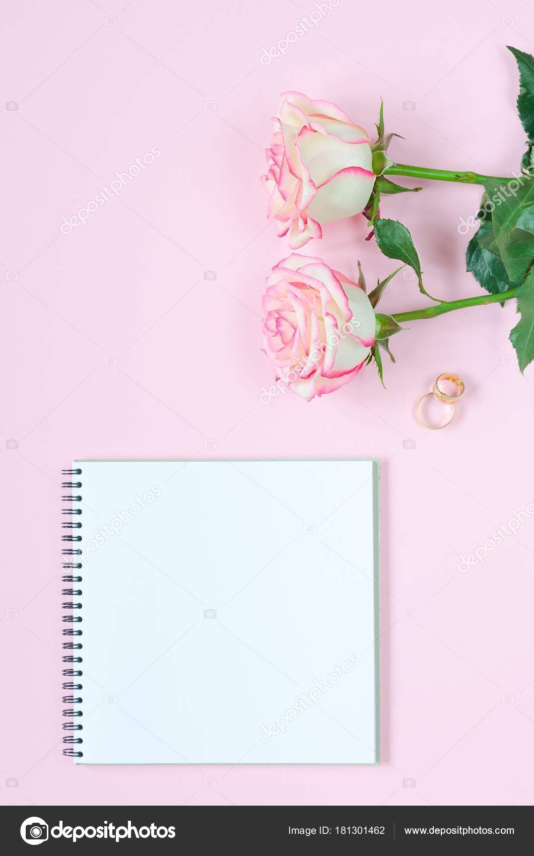 Two pink blooming fresh rose flower with notepad on pink background ...