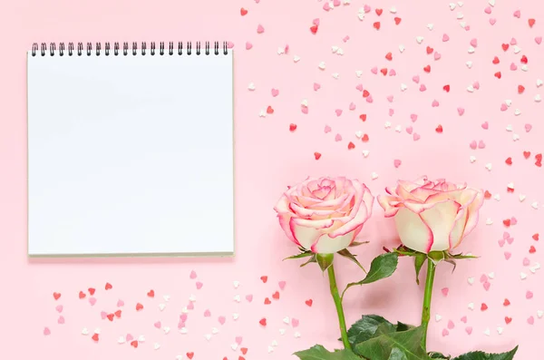 Dwie różowe kwitnący świeży kwiat róży notatnikiem na różowym tle z kolorowe serca — Zdjęcie stockowe