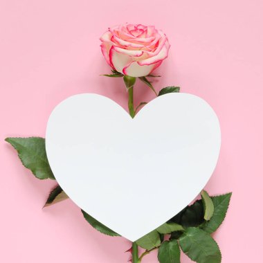 Pembe bir arka plan üzerinde kalpli Pembe çiçek taze gül çiçek