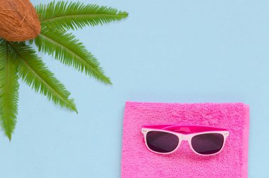 Pembe havlu, gözlük, palmiye yaprağı, mavi arka plan üzerine Hindistan cevizi.