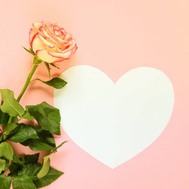 Pembe çiçek gül çiçek fincan kahve ve kağıt kalp pembe arka plan üzerinde metin için