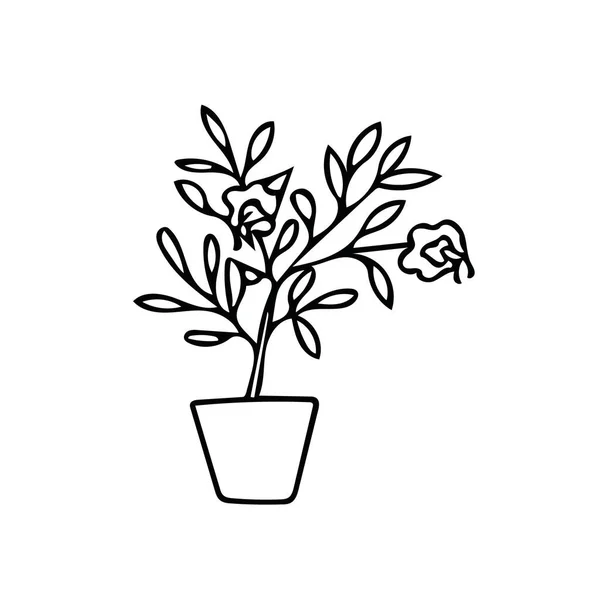 Hibiscus plant en bloemen in pot set van elementen in de hand getrokken stijl. eenvoudige liner doodle Scandinavian. — Stockvector