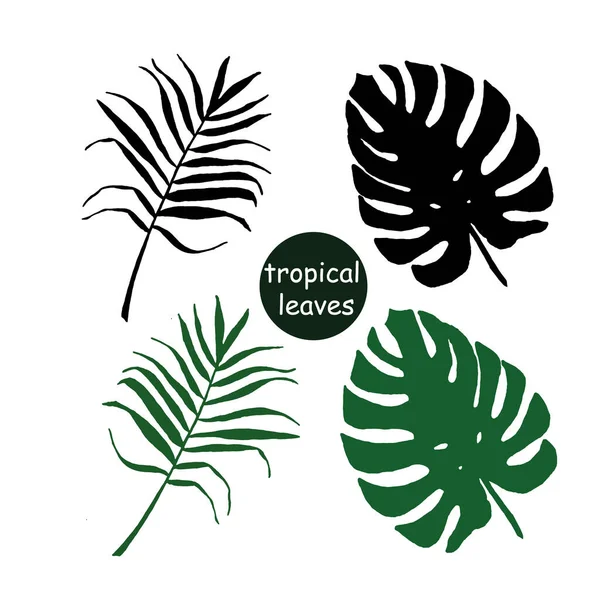 Silhouette vettoriali di foglie tropicali monstera e elementi di set di palme per il design — Vettoriale Stock