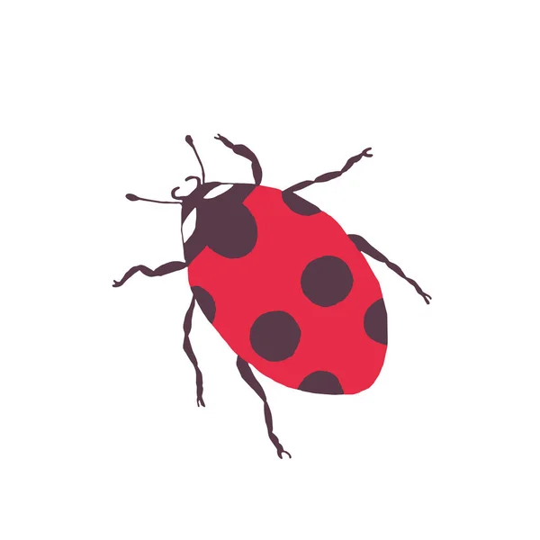 Ladybug vettoriale - elemento per il design. cartolina, poster, icona, arredamento. insetto — Vettoriale Stock