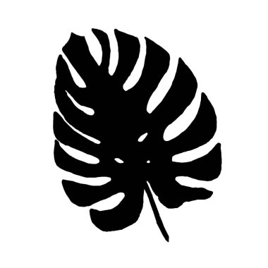 Tasarım için tropikal yaprak canavar elementinin vektör silueti. Kartpostal, poster, simge