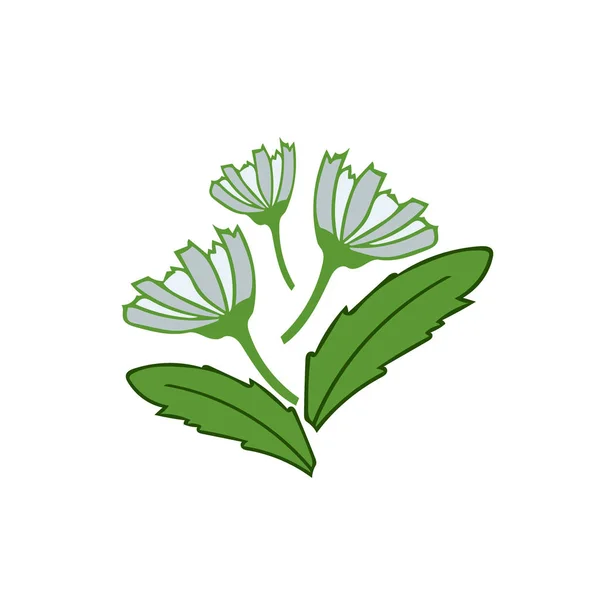 Margaritas dibujadas a mano y hojas ramo. composición en un estilo sencillo — Vector de stock