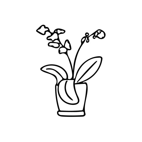 蘭の植物や花を鍋に入れます手描きの要素。単純なライナー・ドア・スカンディナヴィア. — ストックベクタ