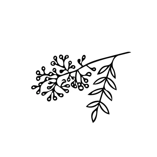 Rowan branch in hand drawn style. Scandinavian simple doodle style. — Stock vektor