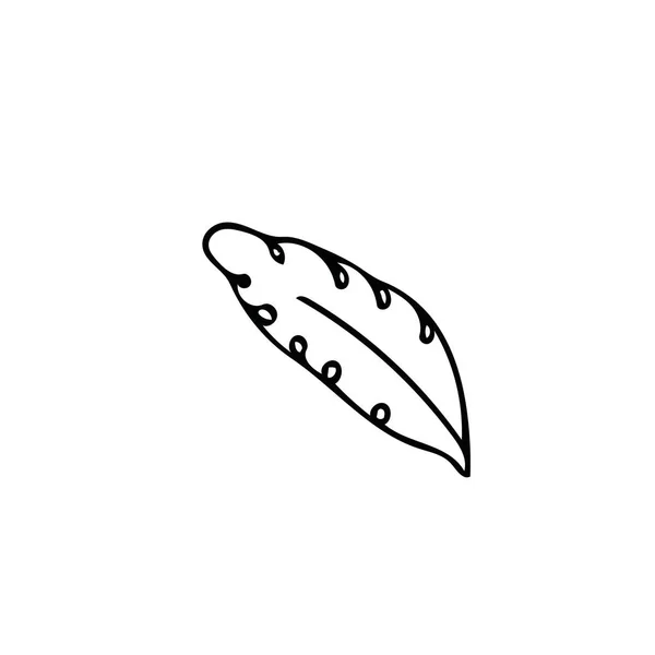 Daisy leaf hand drawn in doodle style. simple scandinavian. spring — 스톡 벡터