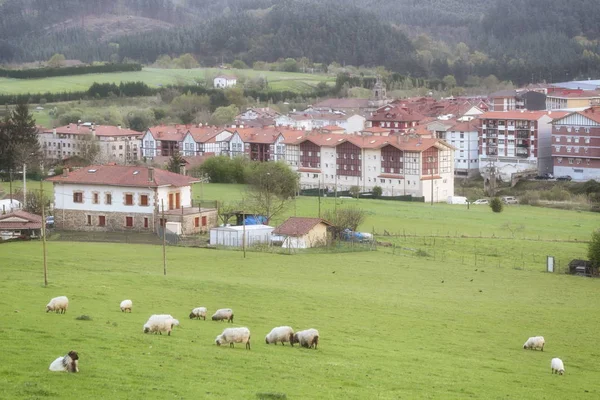 Larrabetzu — Foto de Stock