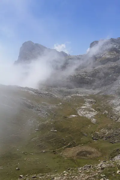 Picos Europa Spanyolország 2015 Augusztus Picos Europa Nemzeti Park Kantábriai — Stock Fotó