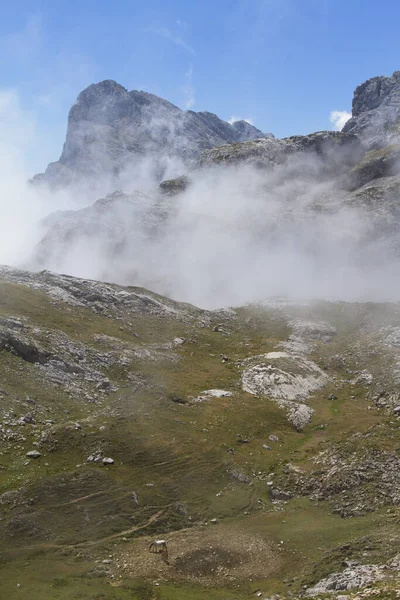 Picos Europa Spanien August 2015 Der Nationalpark Picos Europa Liegt — Stockfoto