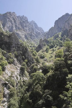 Cares gorges, Principality of Asturias, Spain; Aug. 05, 2015. This gorge, with its narrow passes and gullies, is right in the heart of the Picos de Europa Mountains. The areas stunning landscape affords unique views of the National Park.