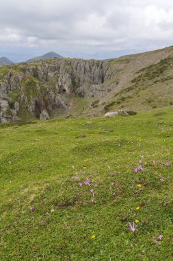 Cangas de Onis, Asturias/Spain; Aug. 05, 2015. Lakes of Covadonga in the Picos de Europa National Park. People walking on the different routes available