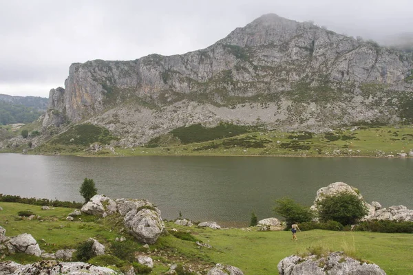 Cangas Onis Asturias España Agosto 2015 Lagos Covadonga Parque Nacional — Foto de Stock