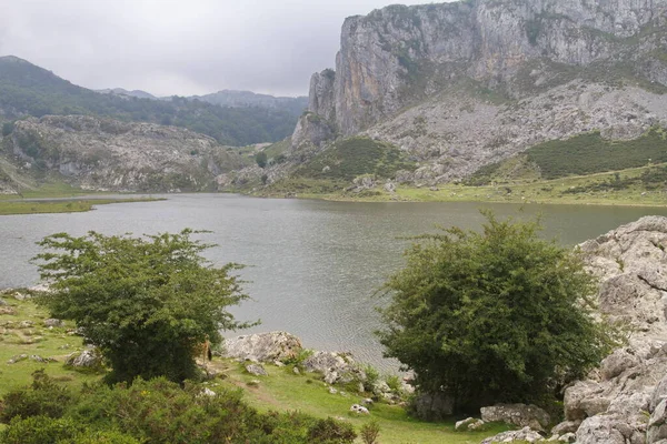 Cangas Onis Asturias Spain Aug 2015 Lakes Covadonga Picos Europa — 图库照片