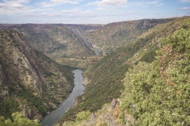 Arribes del Duero, Salamanca / İspanya; Ağustos 06, 2013. Los Arribes del Duero, granit manzarasının engebeli güzelliğinin zengin ve çeşitli bir fauna ve bitki örtüsünün göze çarptığı ayrıcalıklı bir doğal alandır..