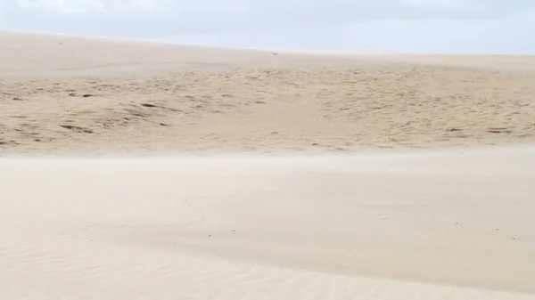 Pyla Sur Mer Landes France Mar 2016 Dune Pilat Tallest — Stock Photo, Image