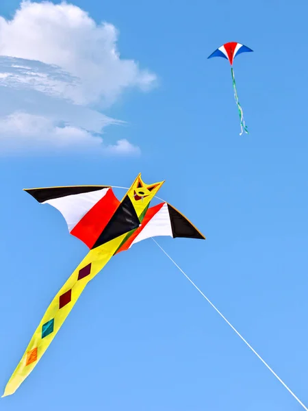 天空中的风筝 — 图库照片