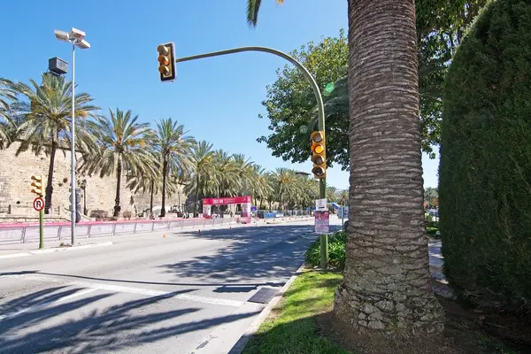 Palma kadınlar maraton — Stok fotoğraf