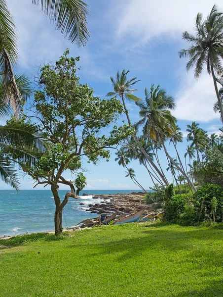 Jardin vert pelouse et plage de rochers — Photo