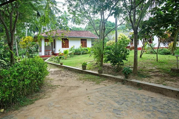 Road through green gardens into bungalows — Stock Photo, Image