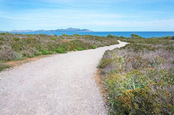 Camino de grava hacia el mar — Foto de Stock