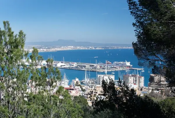 Palma weergave met Trasmediterranea ferry Tenacia — Stockfoto