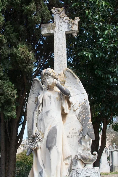 Palma cementerio ángel escultura — Foto de Stock