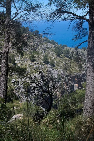 Paisaje marino vista montaña Mallorca —  Fotos de Stock