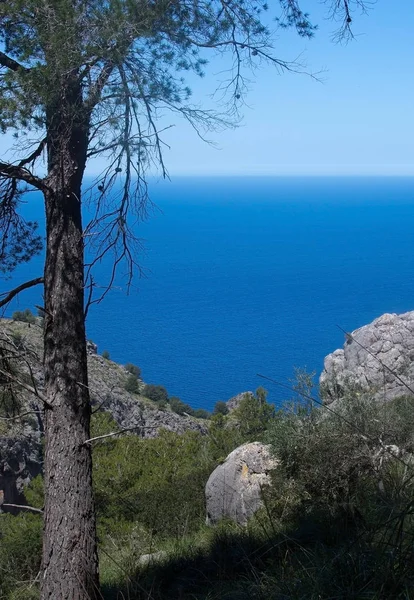 Seascape mountain view Mallorca — Stock fotografie