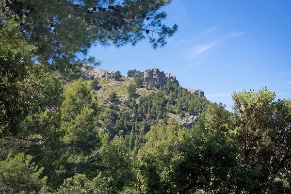 Seascape mountain view Mallorca — Zdjęcie stockowe