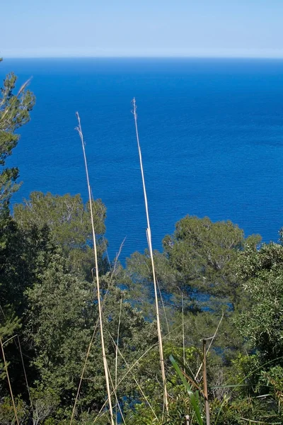 Seascape mountain view Mallorca — Stock fotografie