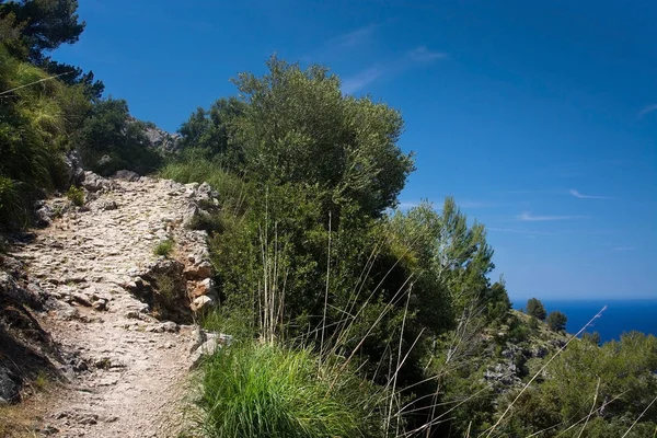 Landschapsmening Mallorca — Stockfoto