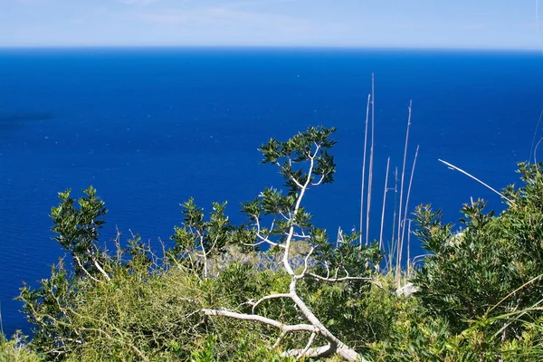 Zobrazení na šířku Mallorca — Stock fotografie