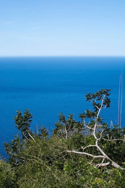 Landscape view Mallorca — Stock Photo, Image