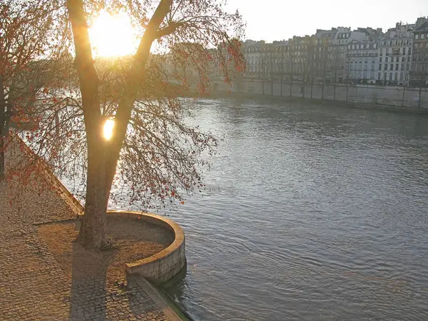 巴黎冬日晨光 — 图库照片