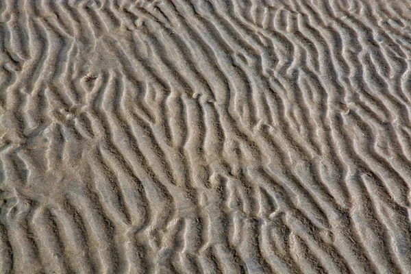 Patrón abstracto de arena y marisco — Foto de Stock