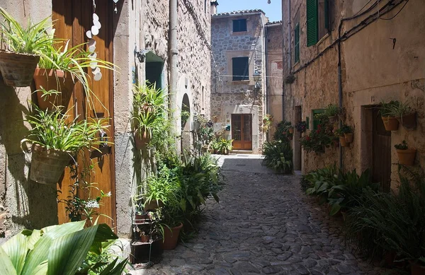 Detalles calle Valldemossa Mallorca — Foto de Stock