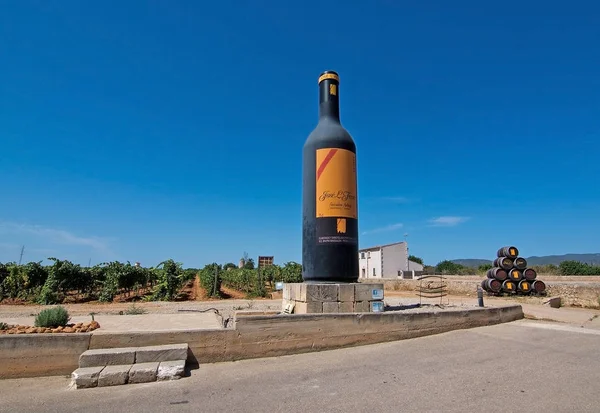 Jose L. Ferrer vineyard — Stock Fotó