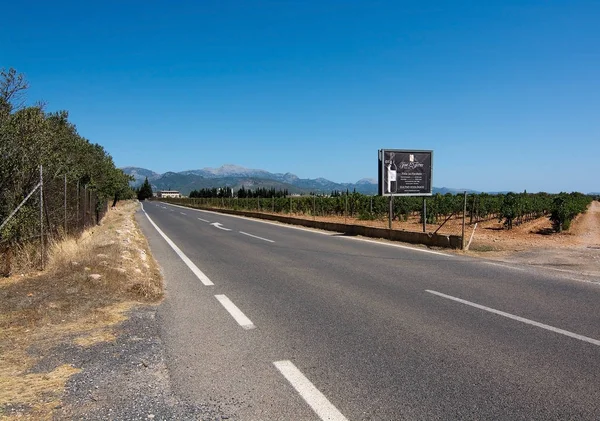 Jose L. Ferrer vineyard — Stock Photo, Image